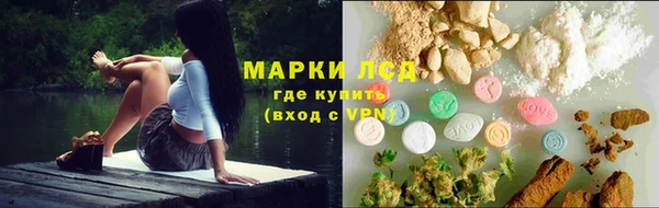 сатива Осташков