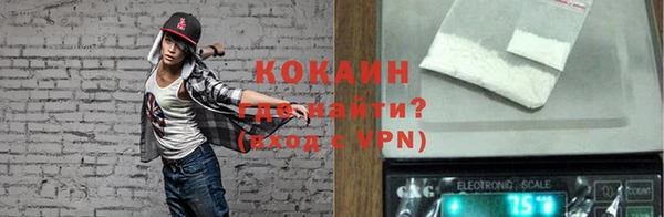 сатива Осташков