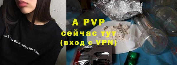 сатива Осташков