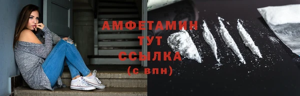 сатива Осташков