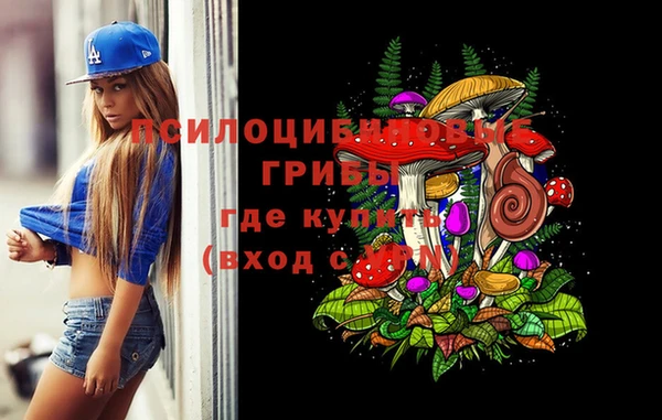 сатива Осташков