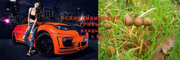 кристаллы Осинники