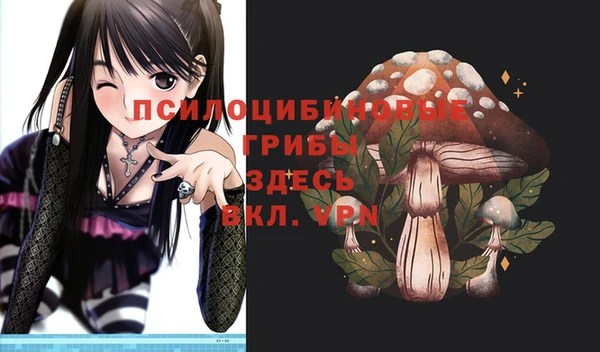 кристаллы Осинники