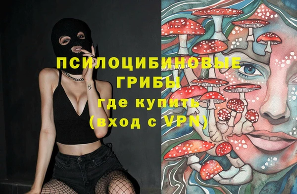 кристаллы Осинники
