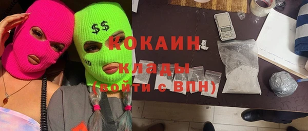сатива Осташков